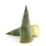 Bamboo Shoot