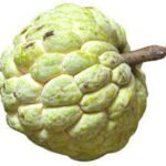 CustardApple