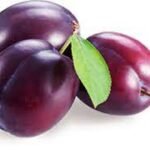 Plum