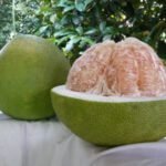 Pomelo